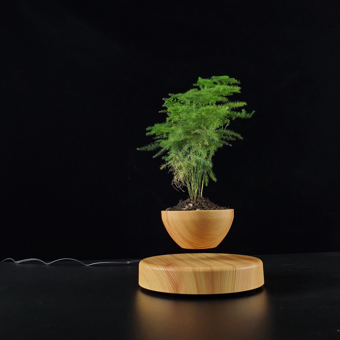 Levitating Planter