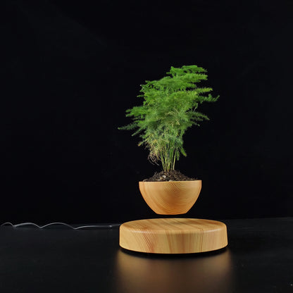 Levitating Planter