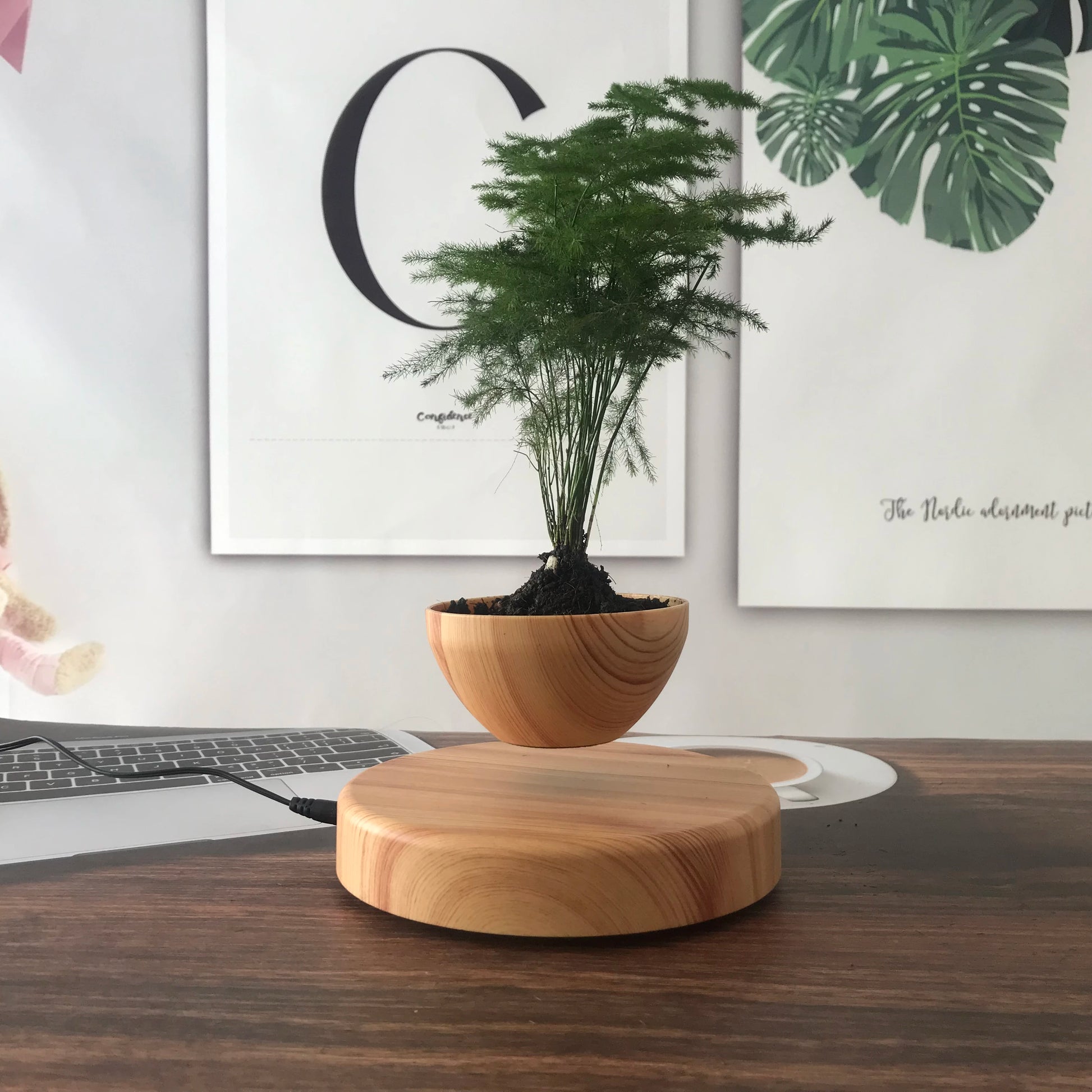 A wooden, levitating planter with a small fern-like plant growing from it. The planter appears to float above a wooden base, set on a desk with minimalist decor in the background, including framed art and greenery.
