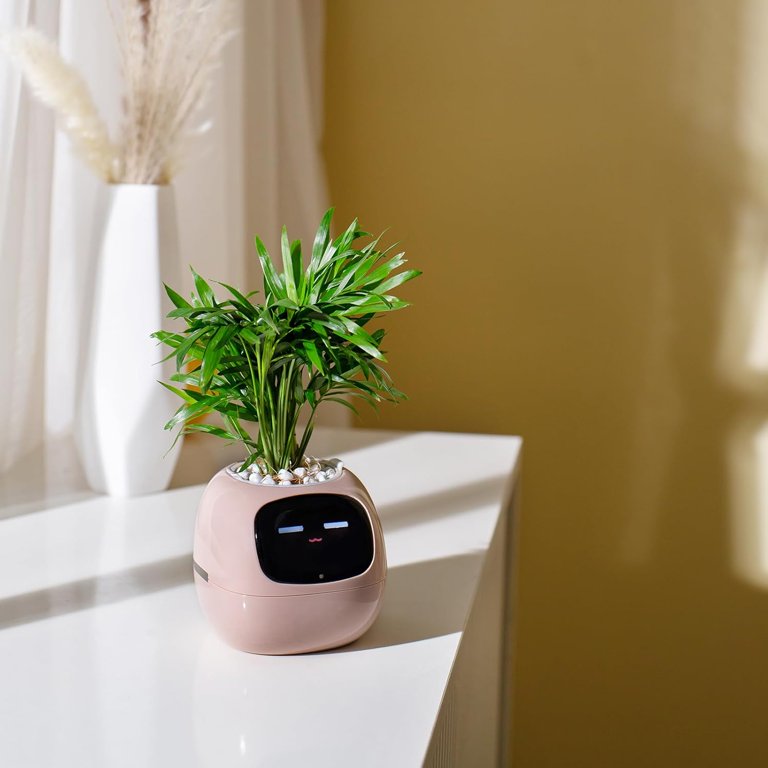 A small Ai  plant pot with a digital face displaying bright eyes and a small smile. The pot holds lush green ferns on top, resembling hair. It is placed on a wooden table with books and shelves in the blurred background, suggesting a cozy indoor environment.