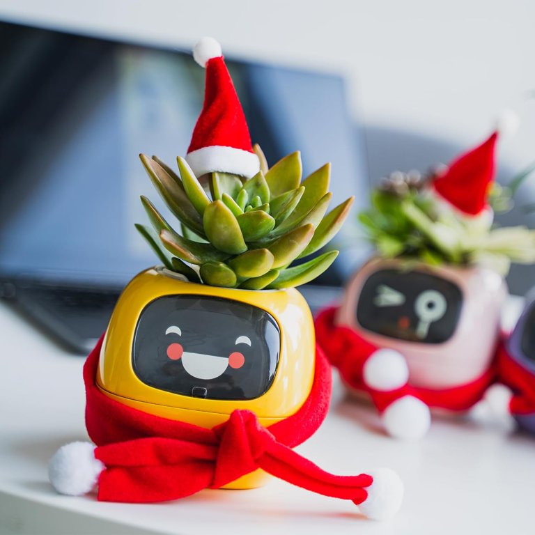 "A cheerful yellow AI planter with a succulent plant, dressed in a festive red Santa hat and scarf, displayed on a desk. Other similarly dressed AI planters with different expressions are blurred in the background."
